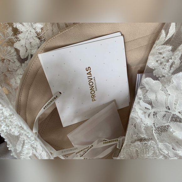 Pronovias 'Dresaba' Wedding Gown - Picture 10 of 10